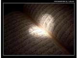8 Pengertian Cinta Dalam Al-Qur'an