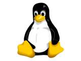 Catatan Untuk Newbie "Virus dan Linux"