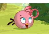 Pink Bird, Si Burung Betina di Angry Birds
