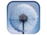 LWP S3 Dandelion di Androidmu