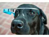 Garansi Google Glass Hilang Jika Diinstal Linux Ubuntu