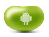 Taukah Kamu? Android Jelly Bean Tidak Bisa Memutar Adobe Flash?