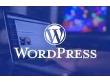WordPress Bagikan Domain Gratis untuk Seluruh Pengguna