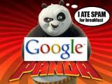 Google Panda dan Bagaimana Bahaya Nya