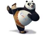 Kenapa Ada Google Panda ?