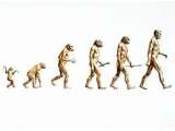 Ada Apa dengan Teori Evolusi?