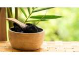 Manfaat Charcoal Powder Bagi Kesehatan