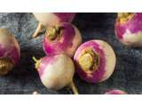 8 Fakta Sejarah Turnip yang Menarik Disimak