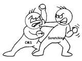 CMS vs Scratching