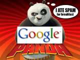 what is google panda?